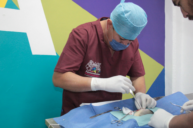 Concluyó campaña de esterilización para mascotas en Cañada Honda, Aguascalientes