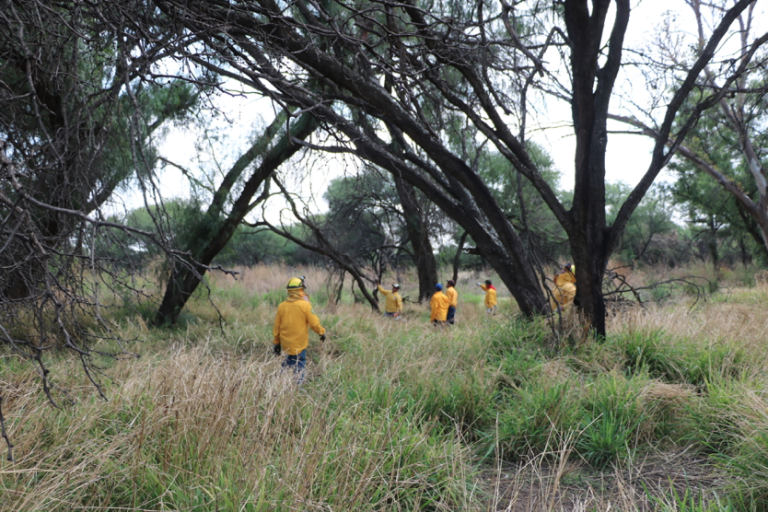 Comienzan  trabajos de limpieza y conservación de la Mezquitera La Pona en Aguascalientes