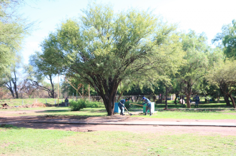 Jornada masiva de reforestación en La Pona, Aguascalientes