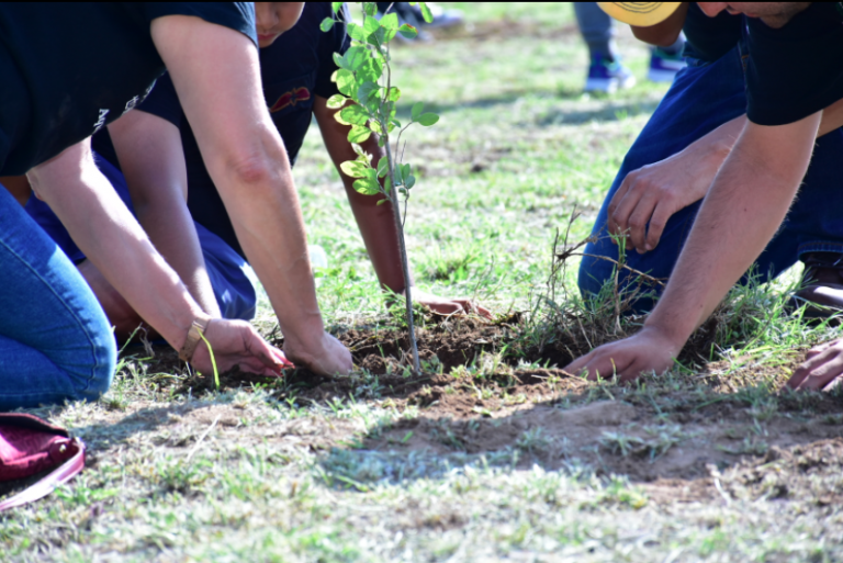 Realizan jornada de reforestación en el Parque México de Aguascalientes