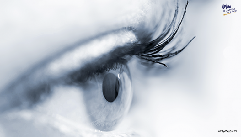 Desarrolla la UNAM aditamento para el control de calidad de córneas para trasplante   