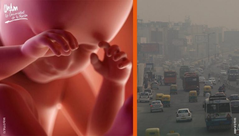 Recién nacidos, más afectados por contaminación   