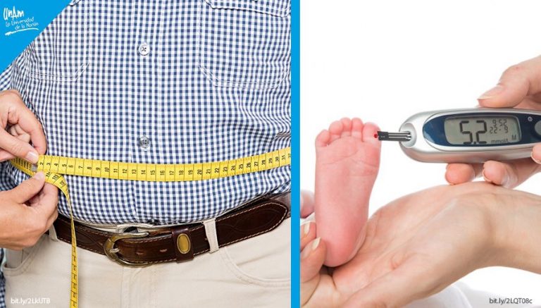 Obesidad en padres acentúa diabetes e infertilidad en hijos y nietos   