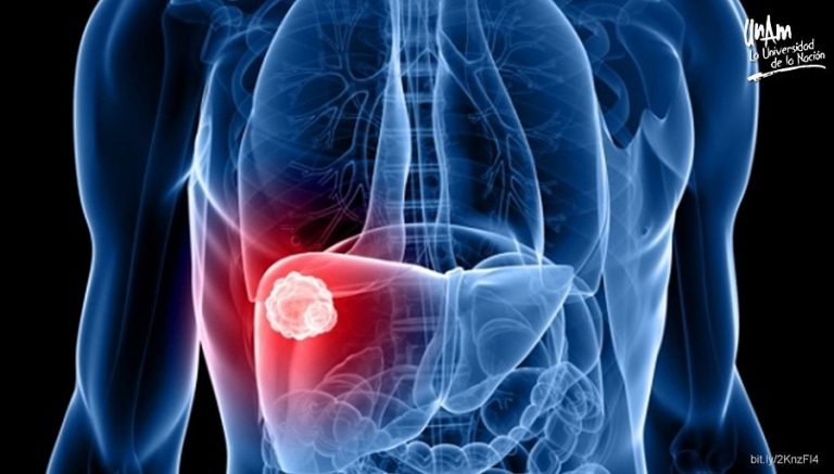 70 de cada 100 mexicanos han sido infectados con hepatitis alguna vez en su vida   