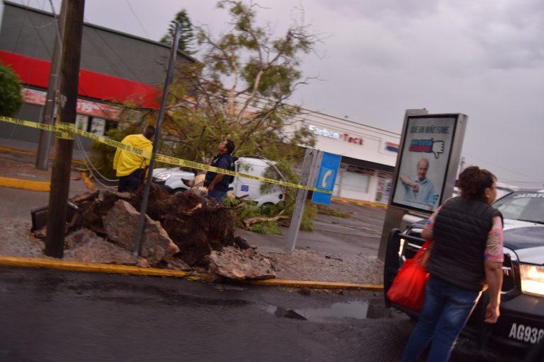 Continúa atención de afectaciones por lluvias en Aguascalientes