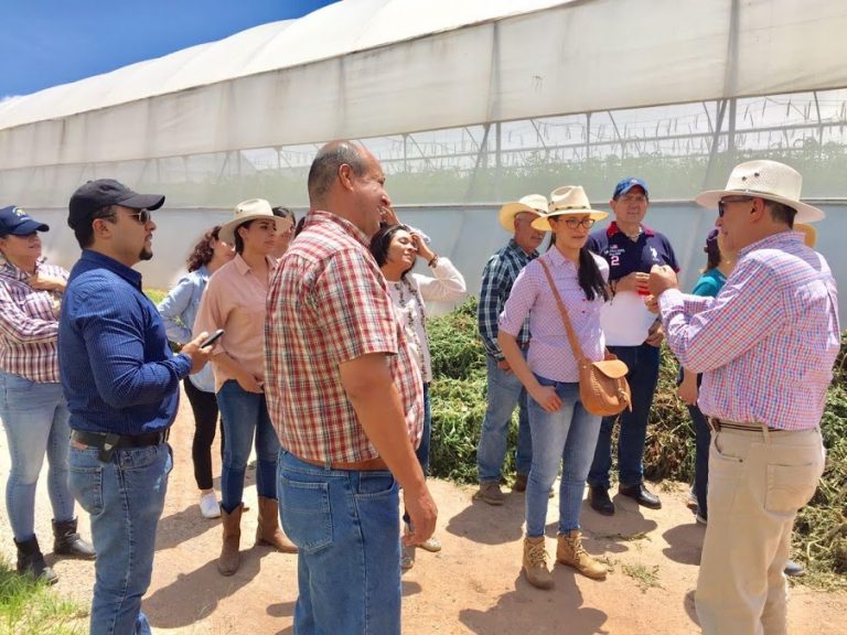 Por egresar, primer generación de Maestría en Agronegocios impulsada por Sedrae    