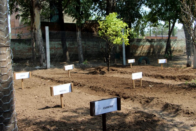 En Aguascalientes, entregan huerto escolar en escuela primaria de la comunidad El Trigo   