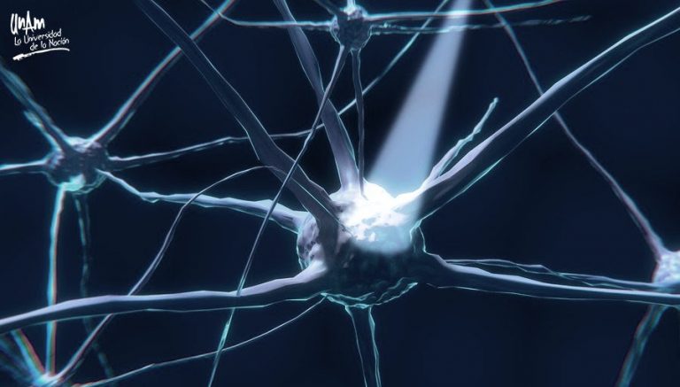 Pacientes con daño cerebral podrían ser más conscientes de lo que aparentan