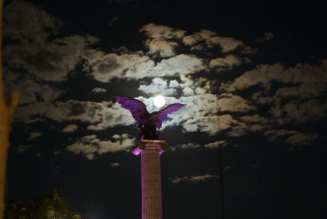 En Aguascalientes, tráfico de órganos, delito más grave y menos visibilizado relacionado con la trata