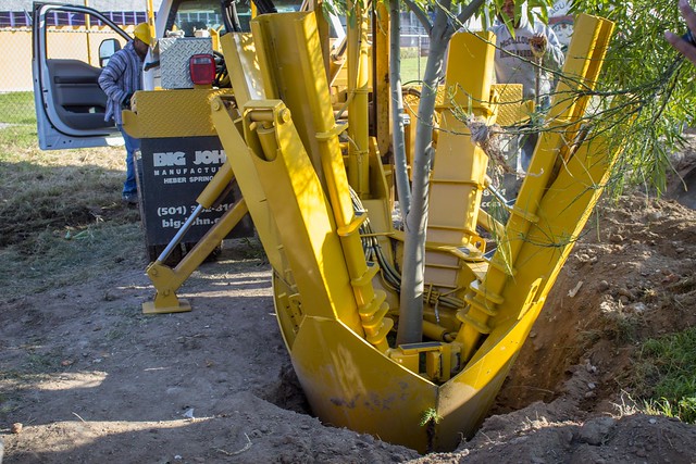 Inicia reubicación de árboles de por paso a desnivel de Av. Salvador Quezada Limón, en #Aguascalientes