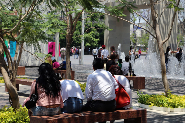 Uno de cada cuatro habitantes del país es joven