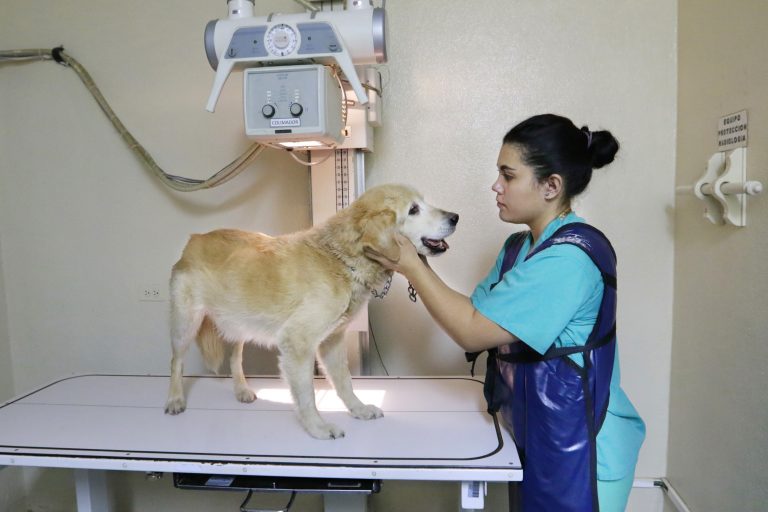 Ofrece Autónoma de Aguascalientes esterilización de mascotas en Hospital Veterinario