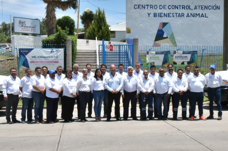 Llaman a valorar y respetar la vida de las mascotas en Aguascalientes