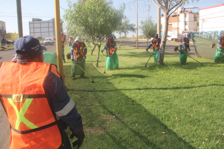 Se desmalezan 200 mil metros cuadrados por semana en áreas verdes de la capital de Aguascalientes