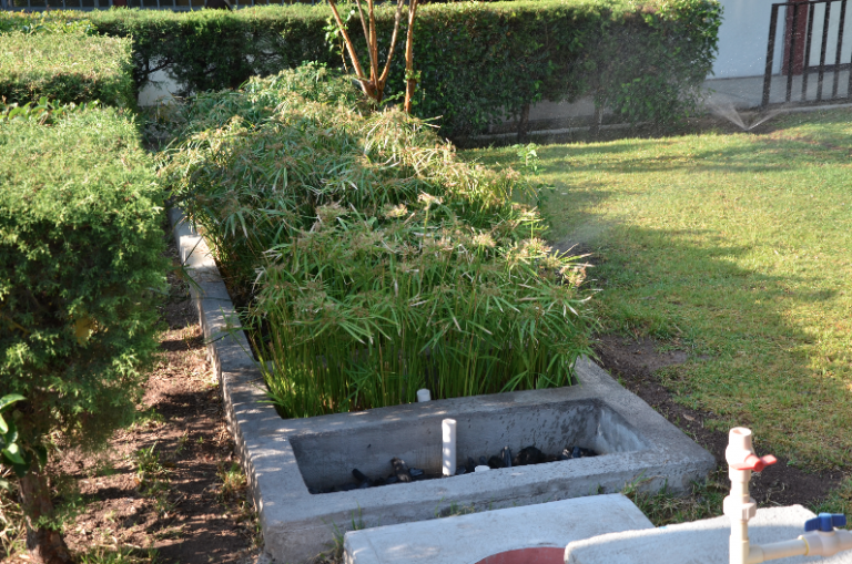 Se desarrolla el proyecto de Humedales Artificiales en Aguascalientes