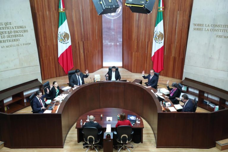 TEPJF ordena a Morena atender quejas contra nombramiento de Leonel Godoy   
