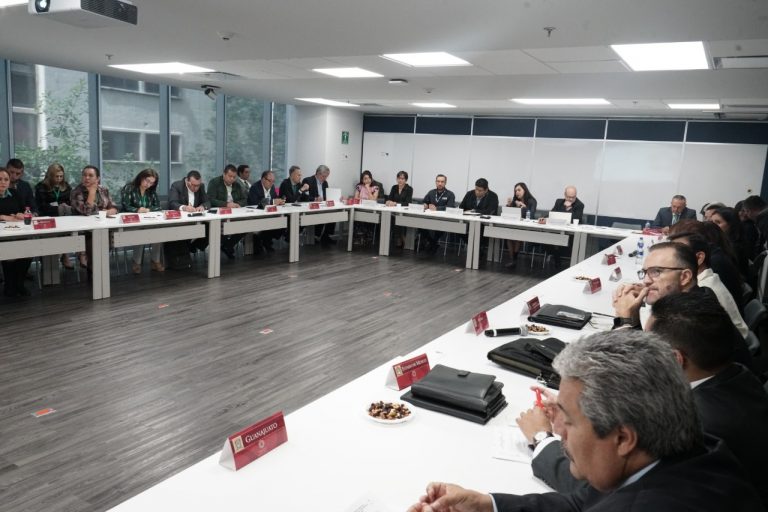 Participa Aguascalientes en reunión de la Comisión de Desarrollo Social y Pueblos Indígenas de la Conago   