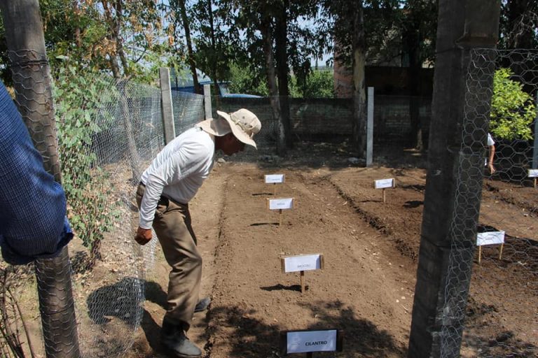 Se reforzará programa de huertos familiares para fomentar autoconsumo en Aguascalientes