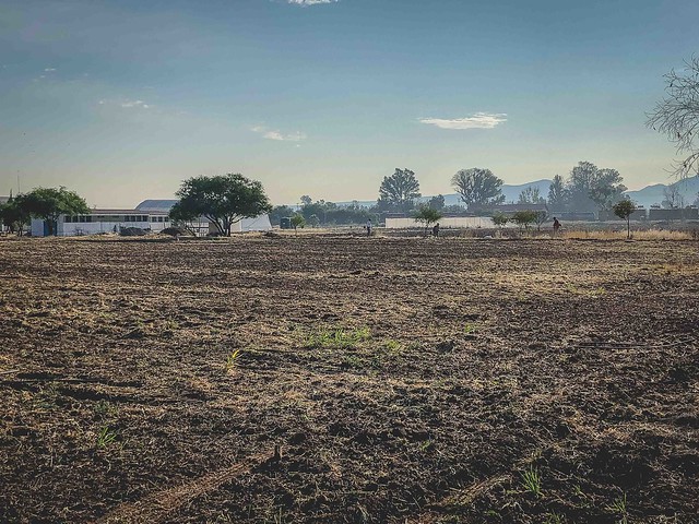 Sector agropecuario de Aguascalientes se descuida en el PPEF 2020