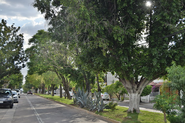 Se gradúa la Segunda Generación del Diplomado Sistema de Gestión Ambiental Gubernamental de Aguascalientes