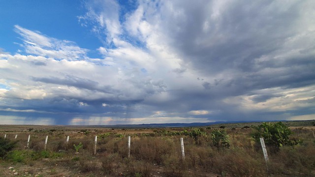 Agricultura tecnificada y de temporal, dos realidades opuestas en el campo 