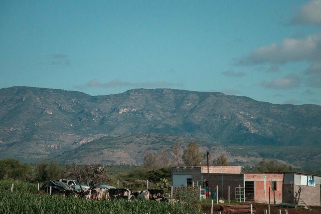Confían en que Gobierno Federal apoyará al Inegi para censo agropecuario