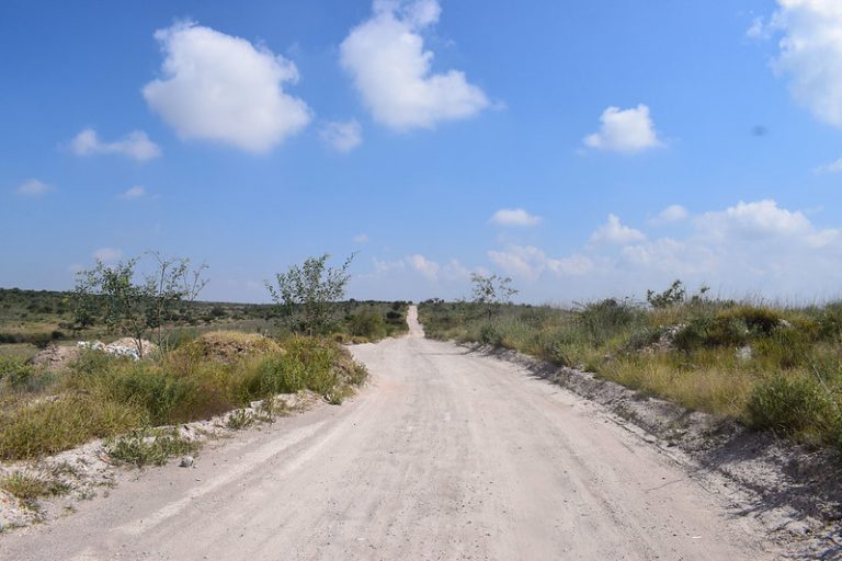 Ecumenismo ambiental (2ª parte)