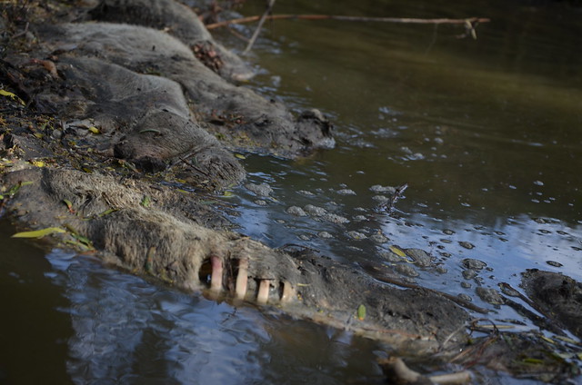 Reportan dos fosas clandestinas en Aguascalientes 