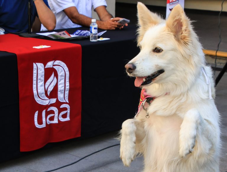Este fin de semana se celebrará la XXV Feria Universitaria de la Autónoma de Aguascalientes   