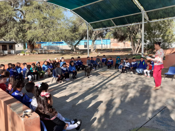 Bibliotecas de Aguascalientes reanudan actividades