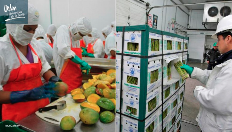 Es insostenible el sistema de alimentación industrializado   