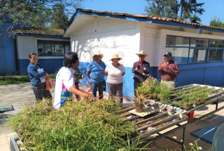 Invitan a los talleres de Microhuertos Familiares en Aguascalientes