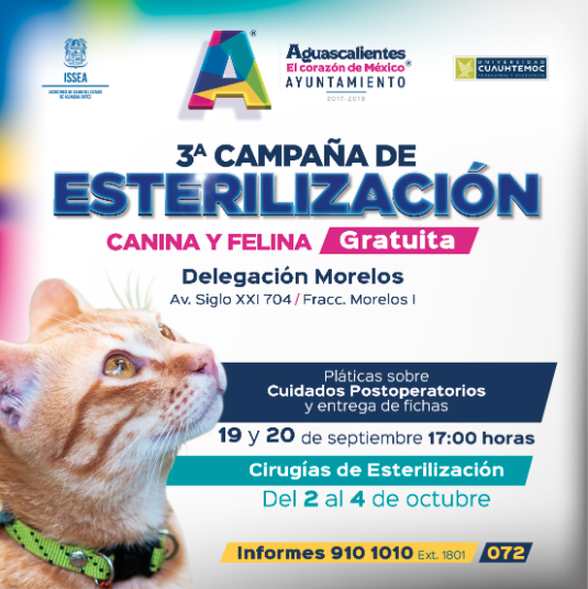Del 2 al 4 de octubre se realizará la Tercera Campaña de Esterilización Canina y Felina en Aguascalientes