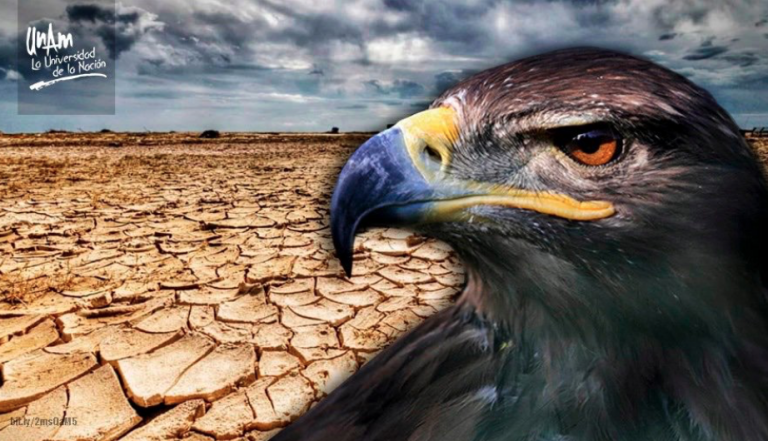 Tráfico ilegal y cambio climático amenazan al águila real