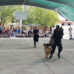 FOTONOTA JORNADAS (2)