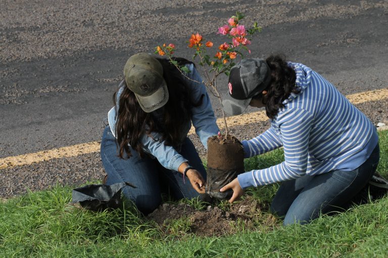 Plantan 600 árboles en Calvillo, Aguascalientes en jornada de reforestación