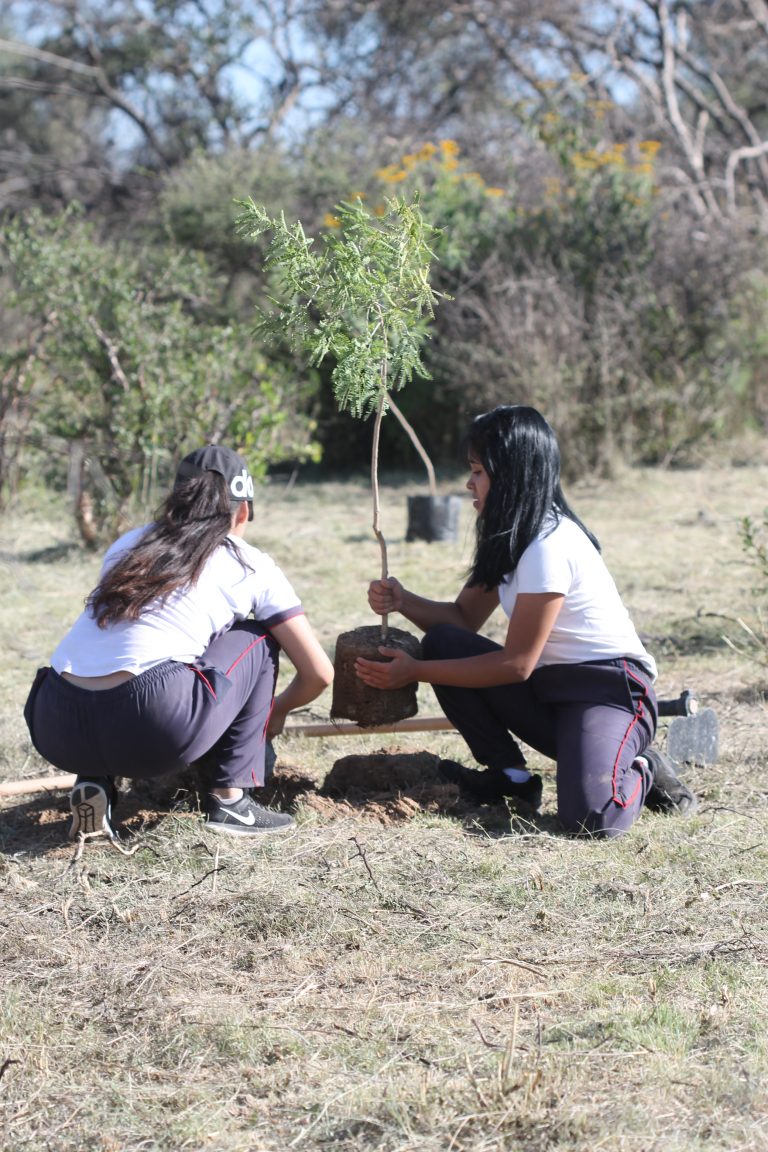 Reforestan con dos mil árboles el área natural protegida de El Tecolote en Aguascalientes