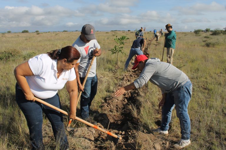 Inicia reforestación en El Llano, Aguascalientes