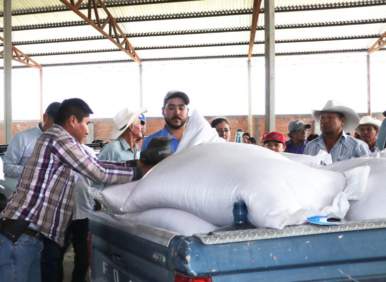 Inició la entrega de semilla de avena a productores de temporal de El Llano y Asientos, Aguascalientes