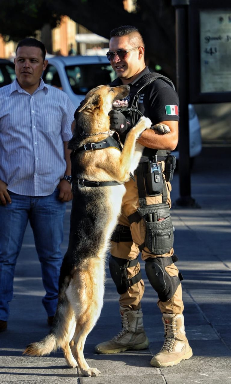 Entregan parque vehicular y equipo a corporaciones de Aguascalientes con una inversión de 222 mdp