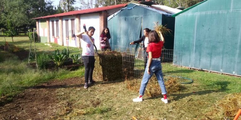 Imparten taller Huertos Didácticos a alumnos del Bachillerato de la Autónoma de Aguascalientes