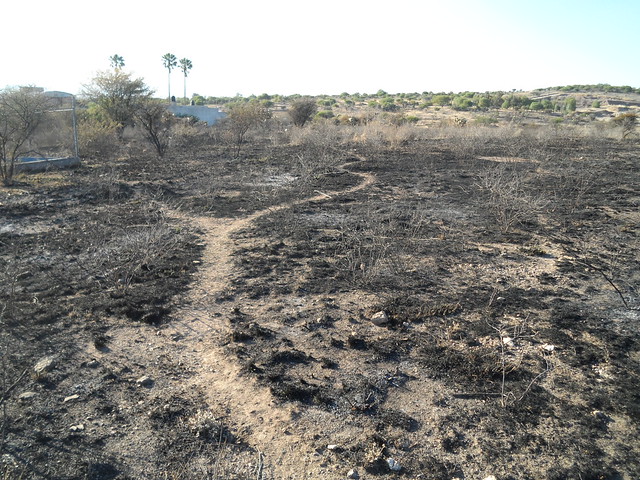 Nuevas tecnologías y estudios científicos aportan soluciones a la erosión del suelo en Aguascalientes