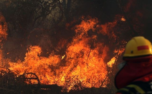 2.3 millones de animales y 4 millones de hectáreas naturales han muerto por los incendios en el Amazonas de Bolivia