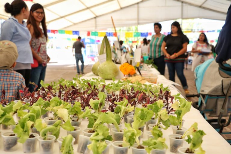 Concluyó un ciclo más de cursos en los Cedecos de Jesús María, Aguascalientes