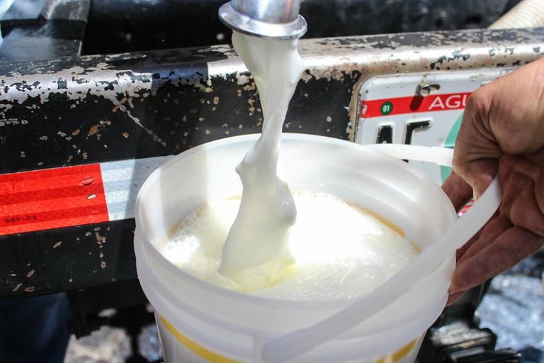 Inicia proyecto para la comercialización de leche de pequeños productores de Aguascalientes