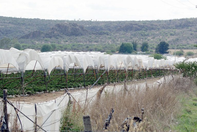 En exploración, más recurso para continuar con el Distrito de Riego 01 de Aguascalientes