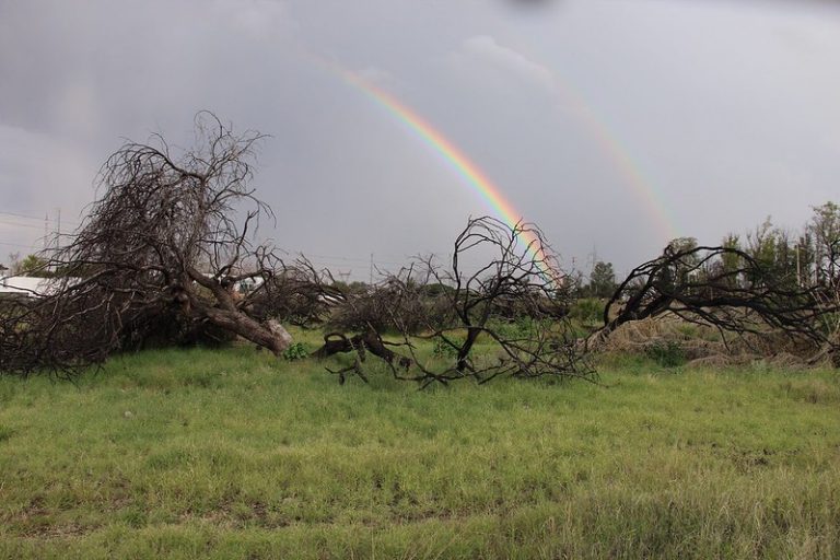 Se detiene construcción de Plaza Outlet, en Aguascalientes, por falta de análisis en impacto ambiental de la Semarnat