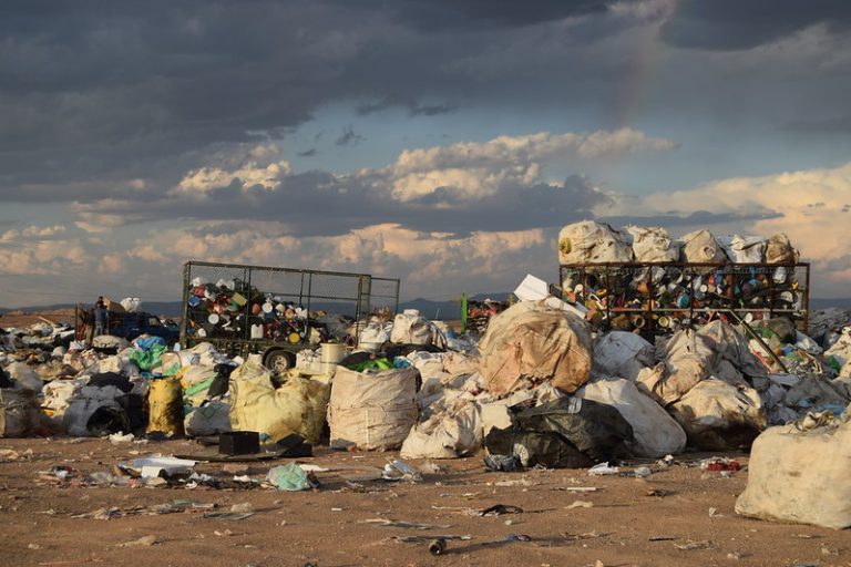 Se requiere urgentemente de una adecuada segregación de los residuos en Aguascalientes