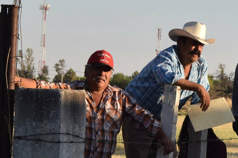 En ceros, el Seguro Agrícola Catastrófico en Aguascalientes