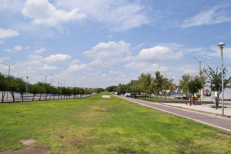 La Línea Verde de Aguascalientes dejará de ser la línea amarilla